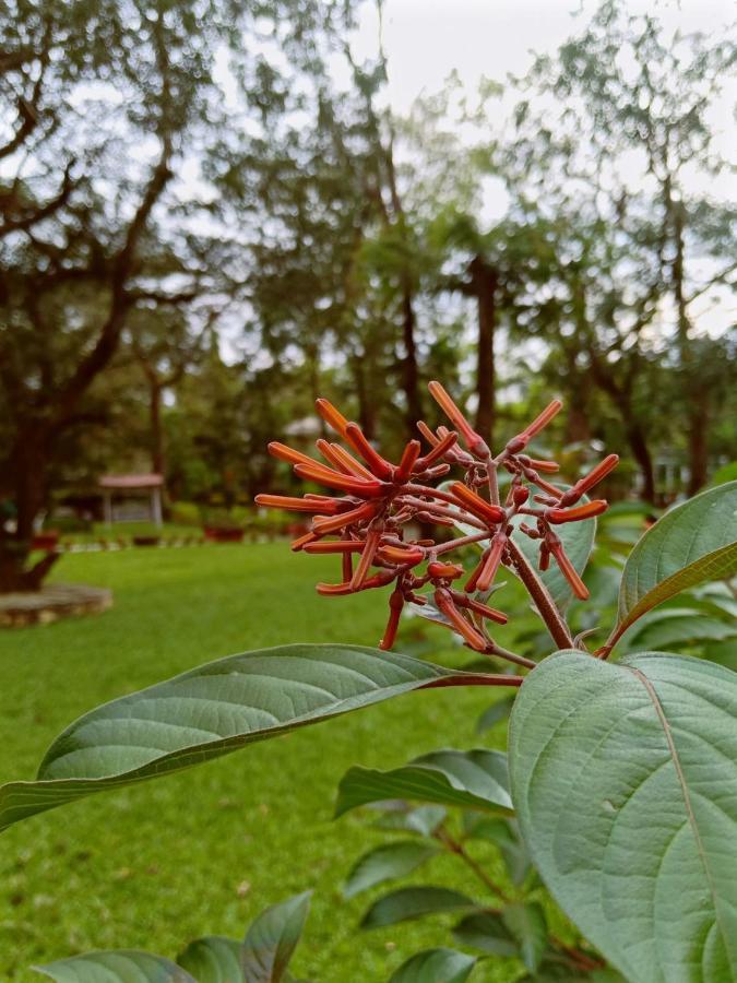 Krisna All Suite Stay Lonavla Zewnętrze zdjęcie